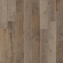 Shaw Floors Carpets Plus Hardwood Blue Springs Oak Drawbridge 00514_CH870