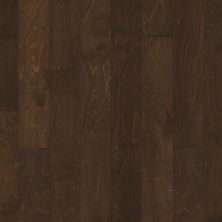 Shaw Floors Carpets Plus Design Values Collection Cottonwood Birch Bayfront 00493_CH878