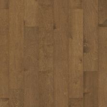 Shaw Floors Carpets Plus Design Values Collection Cottonwood Birch Parasail 02022_CH878