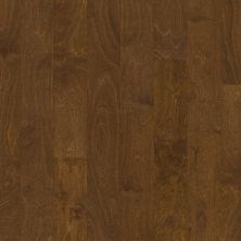 Shaw Floors Carpets Plus Hardwood Mossy Birch Surfside 00460_CH883