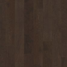 Shaw Floors Carpets Plus Hardwood Mossy Birch Bayfront 00493_CH883