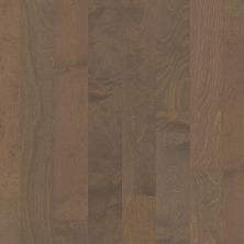Shaw Floors Carpets Plus Hardwood Mossy Birch Oceanside 00529_CH883