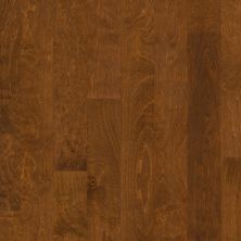 Shaw Floors Carpets Plus Hardwood Mossy Birch Burnside 00627_CH883