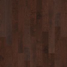 Shaw Floors Carpets Plus Hardwood Mossy Birch Conway 00698_CH883