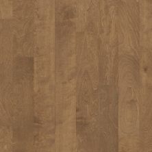 Shaw Floors Carpets Plus Hardwood Mossy Birch Parasail 02022_CH883
