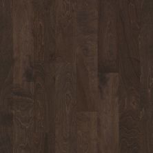 Shaw Floors Carpets Plus Hardwood Mossy Birch Windsurf 05034_CH883