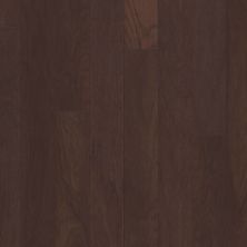Shaw Floors Carpets Plus Hardwood Destination Polished Timber 5″ Three Rivers 00941_CH885