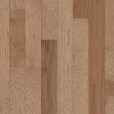 Shaw Floors Carpets Plus Hardwood Destination Polished Timber 5″ Bravo 02002_CH885