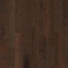 Shaw Floors Carpets Plus Hardwood Destination Polish Timber 6.38 Bearpaw 09000_CH886