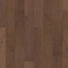Shaw Floors Carpets Plus Hardwood Destination Chiseled Hick 5 Pacific Crest 02000_CH887