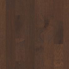 Shaw Floors Carpets Plus Hardwood Destination Chiseled Hick 5 Canyon 07002_CH887