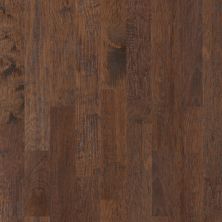 Shaw Floors Carpets Plus Hardwood Destination Chiseled Hickory 6.38 Three Rivers 00941_CH888