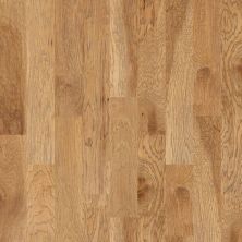 Shaw Floors Carpets Plus Hardwood Destination Chiseled Hickory 6.38 Bravo 02002_CH888