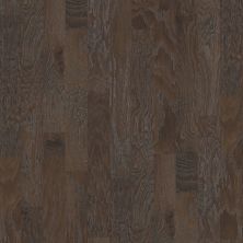 Shaw Floors Carpets Plus Hardwood Destination Chiseled Hickory Mixed Granite 00510_CH889