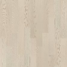 Shaw Floors Carpets Plus Hardwood Masterful Blend Astor 01007_CH894