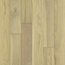 Shaw Floors Carpets Plus Hardwood Masterful Blend Carnegie 01028_CH894