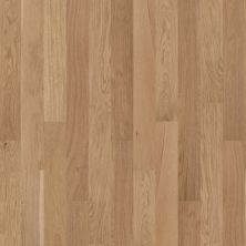 Shaw Floors Carpets Plus Hardwood Masterful Blend Hearst 02012_CH894