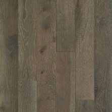 Shaw Floors Carpets Plus Hardwood Masterful Blend Ashlee Grey 05052_CH894
