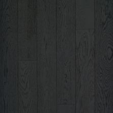 Shaw Floors Carpets Plus Hardwood Masterful Blend Cabot 09016_CH894