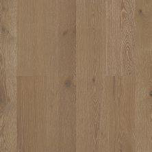 Anderson Tuftex Carpets Plus Hardwood Brushed Millwork Majesty 07014_CH898