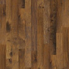 Anderson Tuftex Carpets Plus Hardwood Destination Handcarved Hickory Muretto 17013_CH899