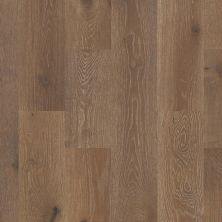 Shaw Floors Carpets Plus Hardwood Destination Swept Spirit Oak Trestle 00986_CH900