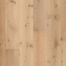 Shaw Floors Carpets Plus Hardwood Destination Swept Spirit Oak Chatelaine 01010_CH900