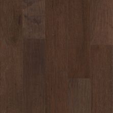 Anderson Tuftex Carpets Plus Hardwood Destination Scoured Hickory Marrone 17003_CH901