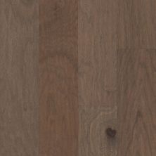 Shaw Floors Carpets Plus Hardwood Brutish Hickory Mesquite 05019_CH902