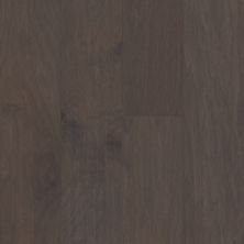 Shaw Floors Carpets Plus Hardwood Brutish Hickory Sterling 05021_CH902