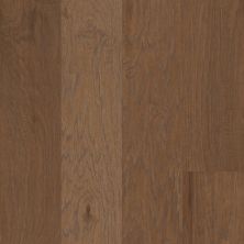 Shaw Floors Carpets Plus Hardwood Brutish Hickory Vintage 07016_CH902