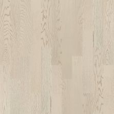 Shaw Floors Carpets Plus Hardwood Destination Brush Stroked Oak Astor 01007_CH905