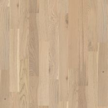 Shaw Floors Carpets Plus Hardwood Destination Brush Stroked Oak Vanderbilt 01015_CH905