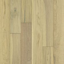 Shaw Floors Carpets Plus Hardwood Destination Brush Stroked Oak Carnegie 01028_CH905