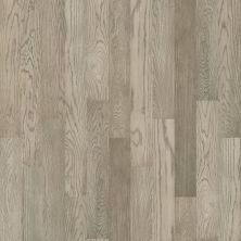 Shaw Floors Carpets Plus Hardwood Destination Brush Stroked Oak Roosevelt 05014_CH905