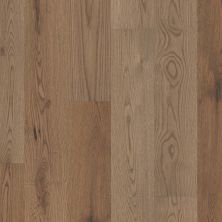 Shaw Floors Carpets Plus Hardwood Destination Brilliant White Oak Woodlands 07066_CH913