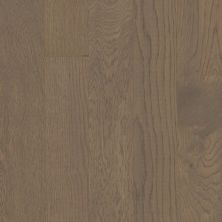 Shaw Floors Carpets Plus Hardwood Destination Anchor Oak Sandstone 07038_CH916