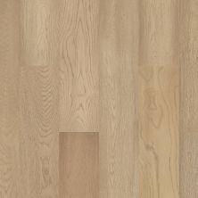 Shaw Floors Carpets Plus – Waterproof Hardwood Eminence Brightened Oak 01057_CH919