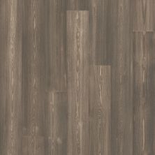 Shaw Floors Carpetland – Waterproof Hardwood Eminence Liberty Pine 05069_CH919