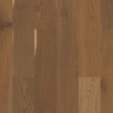 Shaw Floors Carpets Plus Hardwood Destination Esquire Prose 07067_CH920