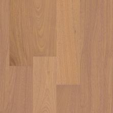 Shaw Floors Carpets Plus Hardwood Swept Spirit Brazilian Oak Crown 01100_CH922