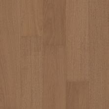 Shaw Floors Carpets Plus Hardwood Swept Spirit Brazilian Oak Keystone 07089_CH922