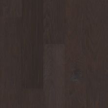 Shaw Floors Carpets Plus Hardwood Avalon 5 Olde English 00885_CHX05