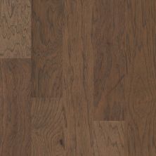 Shaw Floors Carpets Plus Hardwood Arcadia Olive Branch 00308_CHX15
