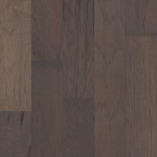 Shaw Floors Carpets Plus Hardwood Arcadia Fedora 00501_CHX15