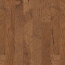 Shaw Floors Carpets Plus Hardwood Pine Hurst Maize 00204_CHX18