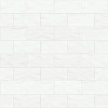Shaw Floors Ceramic Solutions Geoscapes 3×6 Wall White 00100_CS01W