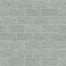 Shaw Floors Ceramic Solutions Geoscapes 3×6 Wall Light Grey 00500_CS01W