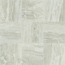 Shaw Floors Ceramic Solutions Cameo 13 Agate 00500_CS07X