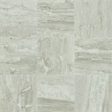 Shaw Floors Ceramic Solutions Cameo 13 Jasper 00700_CS07X